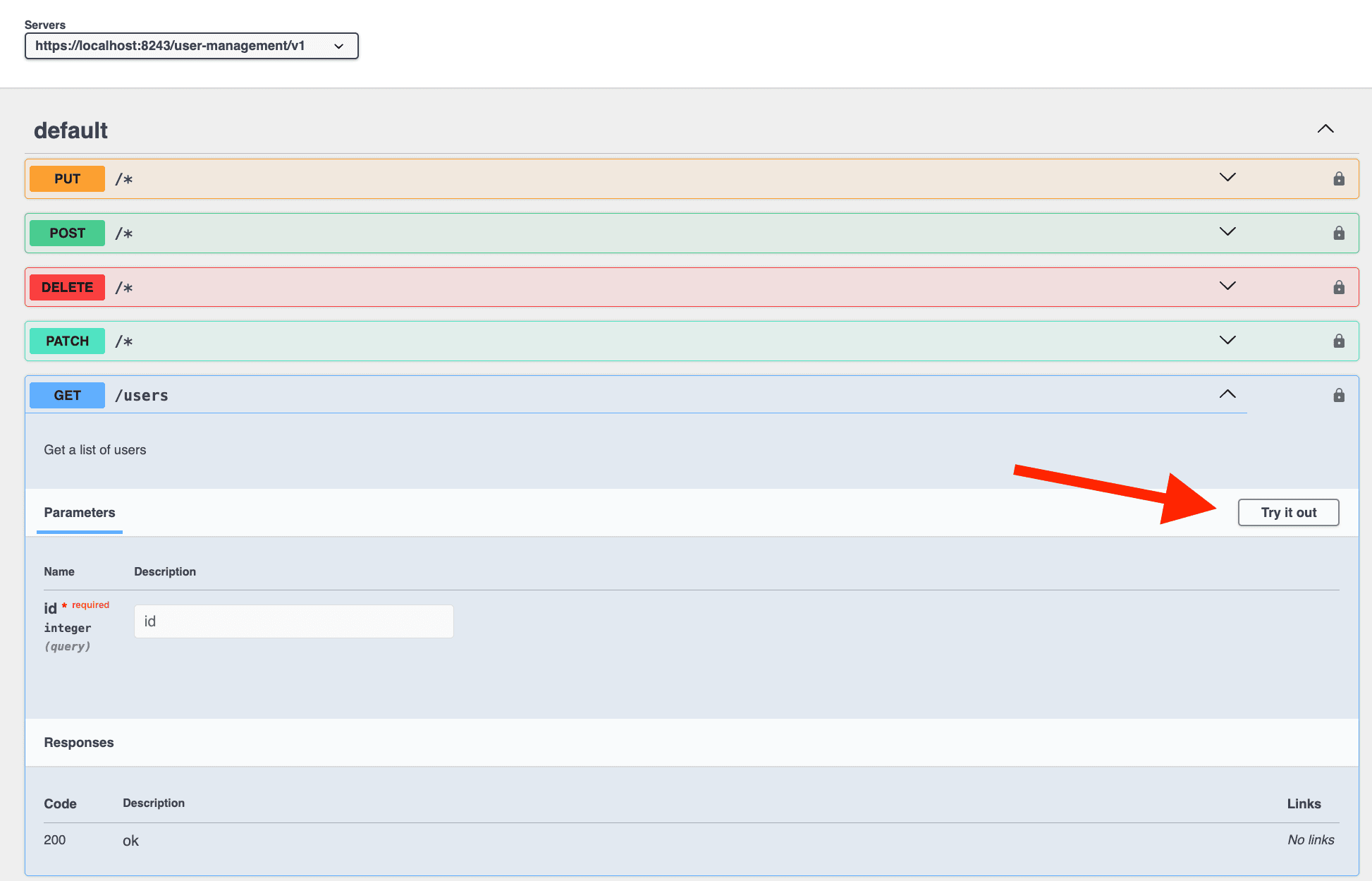 API Testing Interface